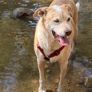 Meet your Posher, Anita